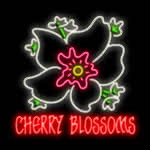 Cherry Blossom - Jugar Tragamonedas Gratis sin Dinero | Neon Slots