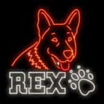 Rex - Juego de Tragamonedas Gratis sin Descargar | Neon Slots